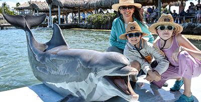 dolphin research center florida keys